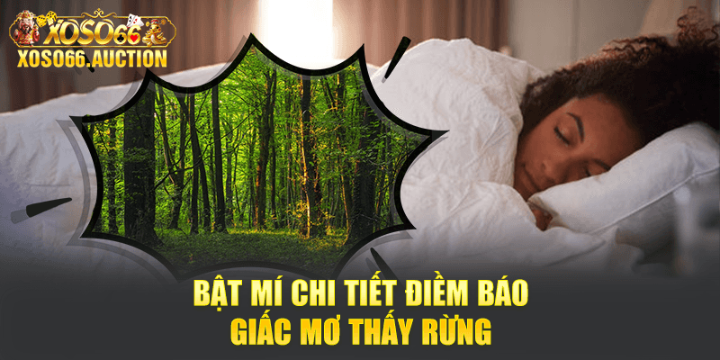 Bật mí chi tiết điềm báo giấc mơ thấy rừng