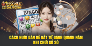 Cách Nuôi Dàn Đề Bất Tử Đánh Quanh Năm Khi Chơi Xổ Số