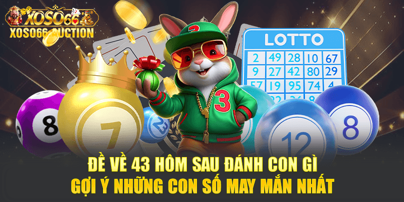Đề về 43 hôm sau đánh con gì - Gợi ý những con số may mắn nhất