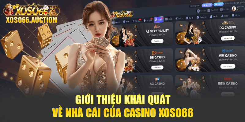 Giới thiệu khái quát về nhà cái của Casino Xoso66